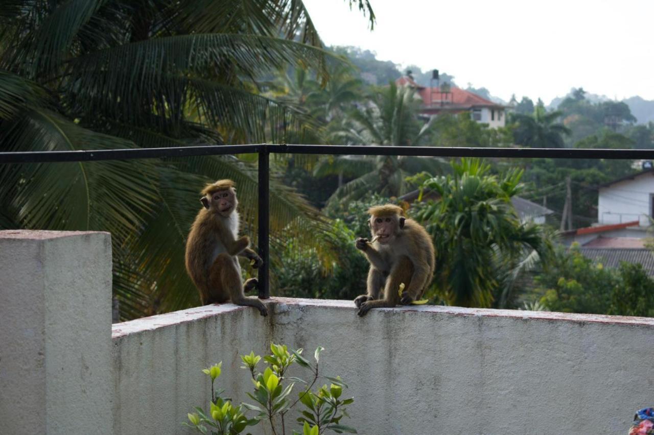 Kandy Backpackers Hostel Bagian luar foto